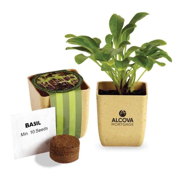 ALCOVA - Flower Pot Set Basil Seeds $3.98